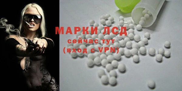 mdpv Каменногорск