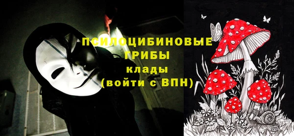 стафф Касимов